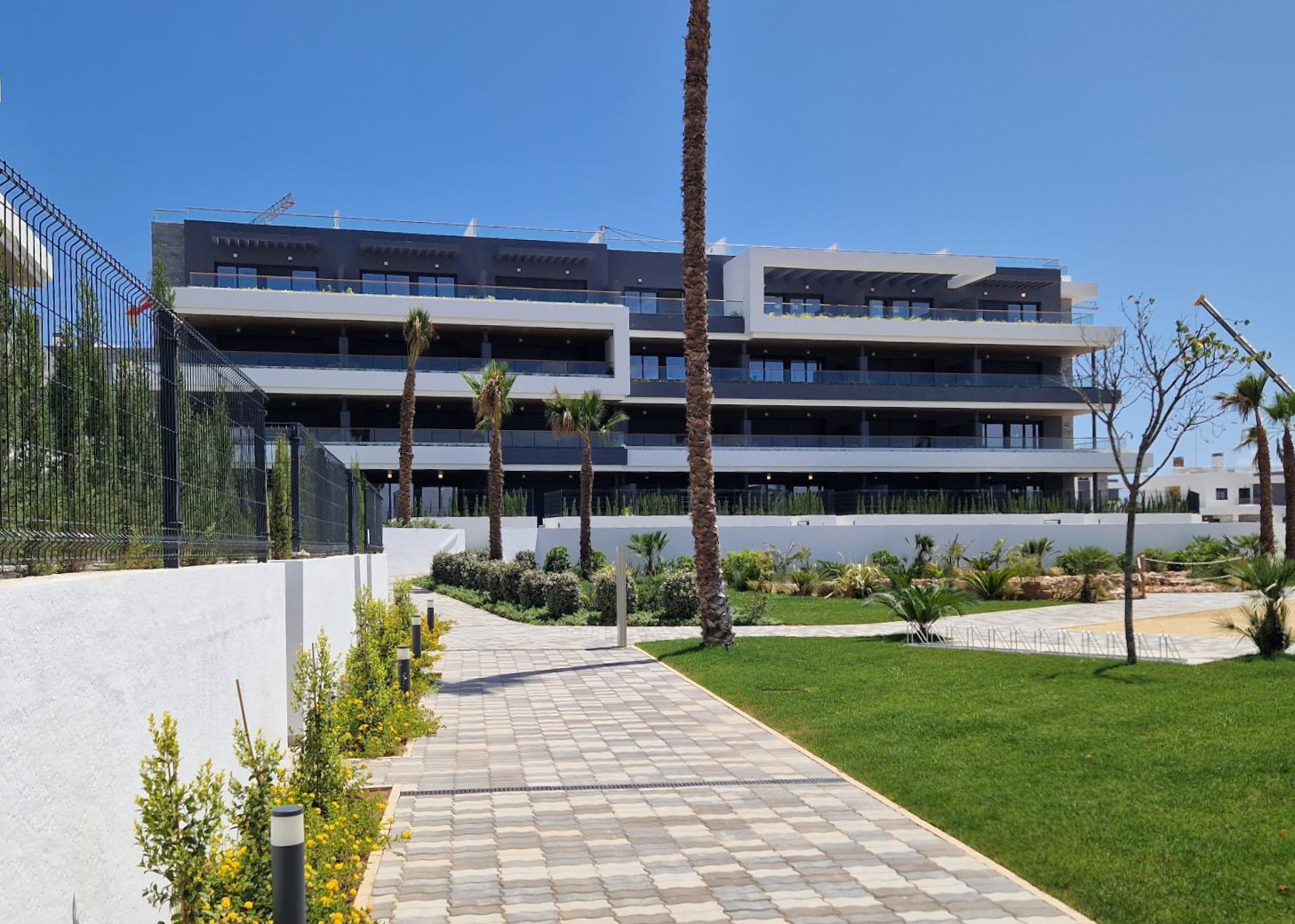 20250730 130917 Crop